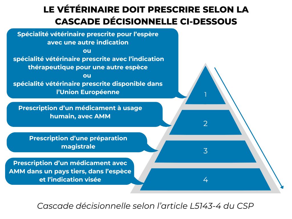 La Cascade Décisionnelle